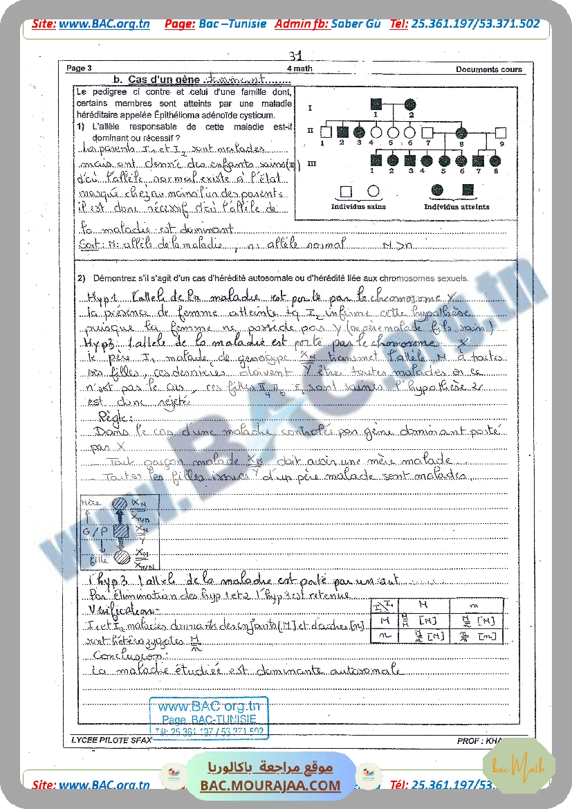 serie_rl-2021