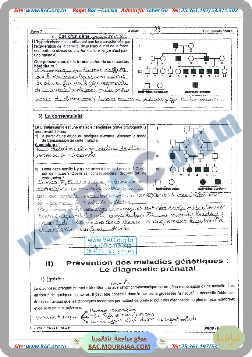 serie_rl-2021