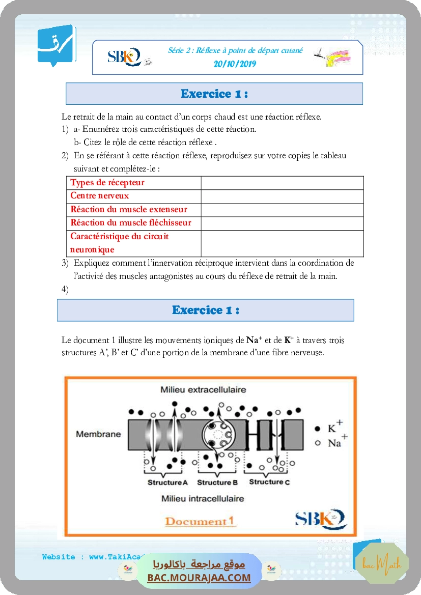 serie_bobine_et_dipole_rl