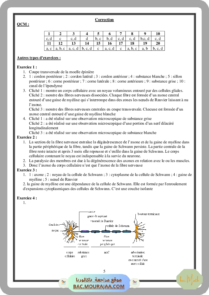 serie_Spectres