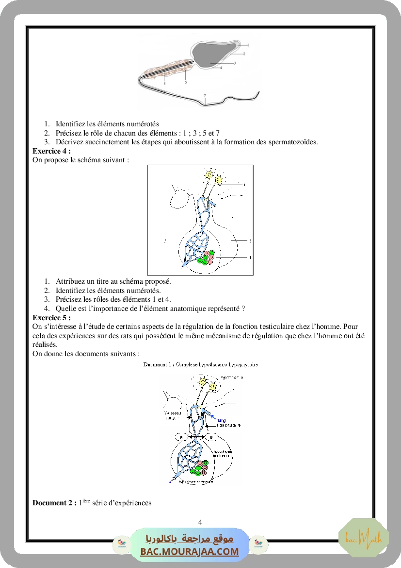 Serie_spectre_atomique