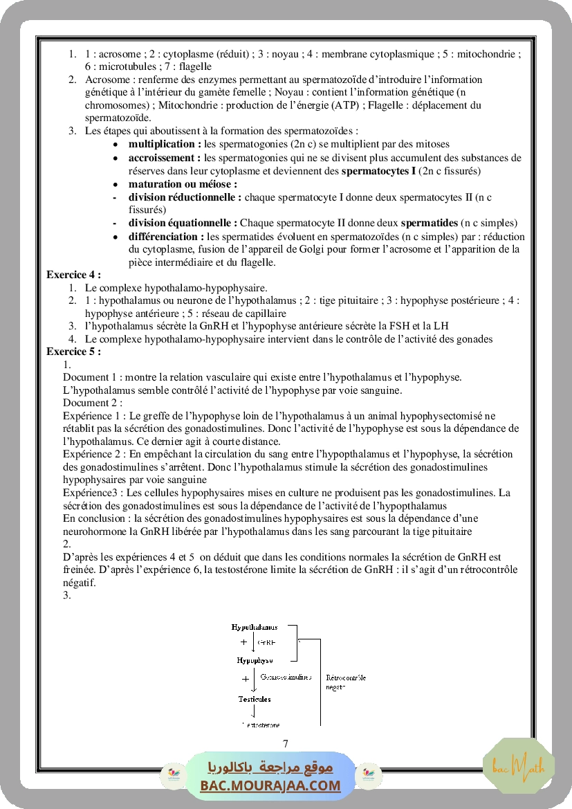 Serie_spectre_atomique