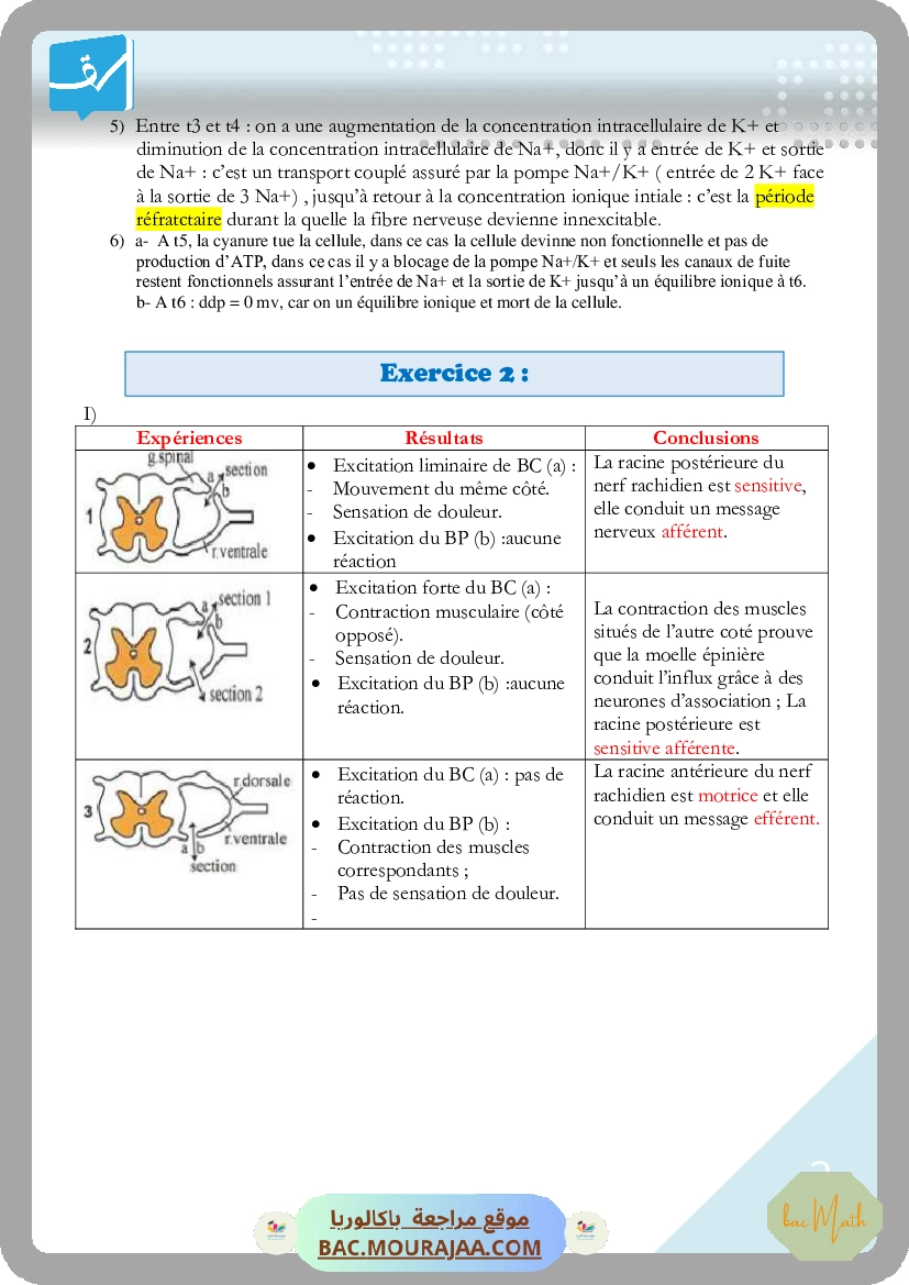Ondes-3