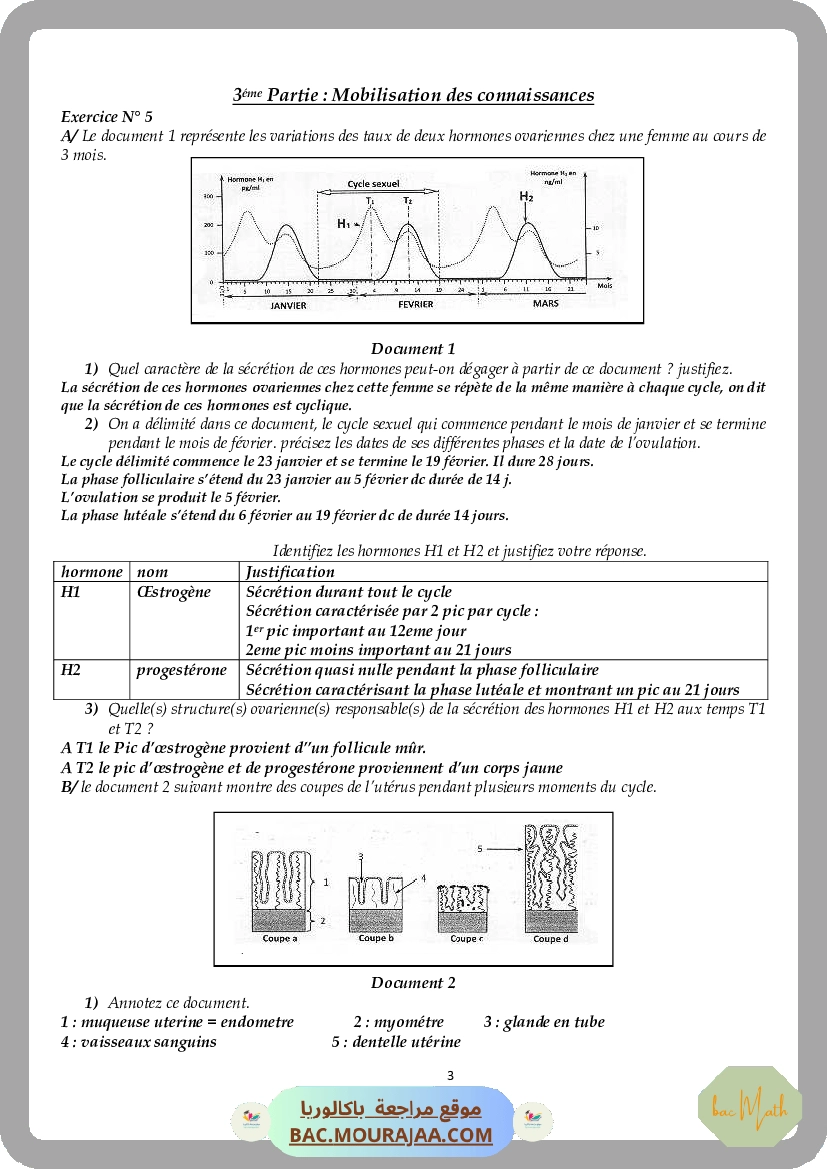 series_corrige_ondes