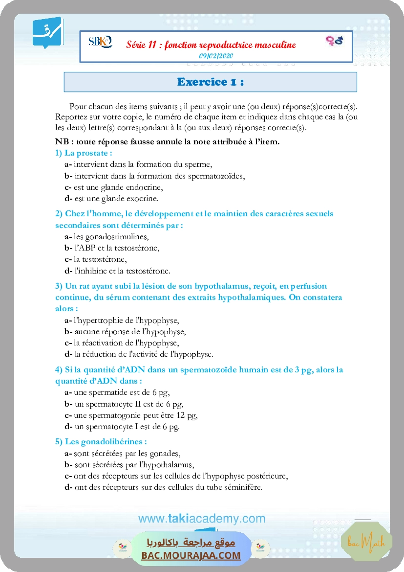 series_ondes-2