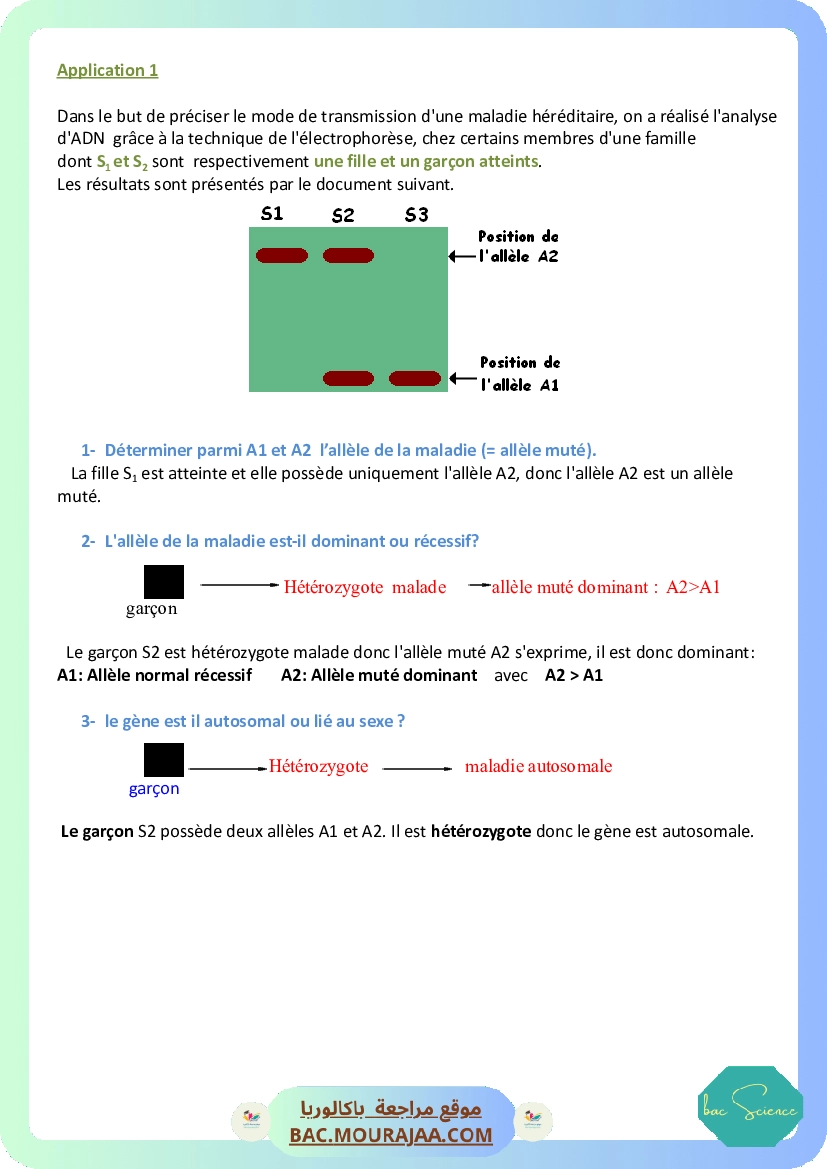 GH-applications.docx
