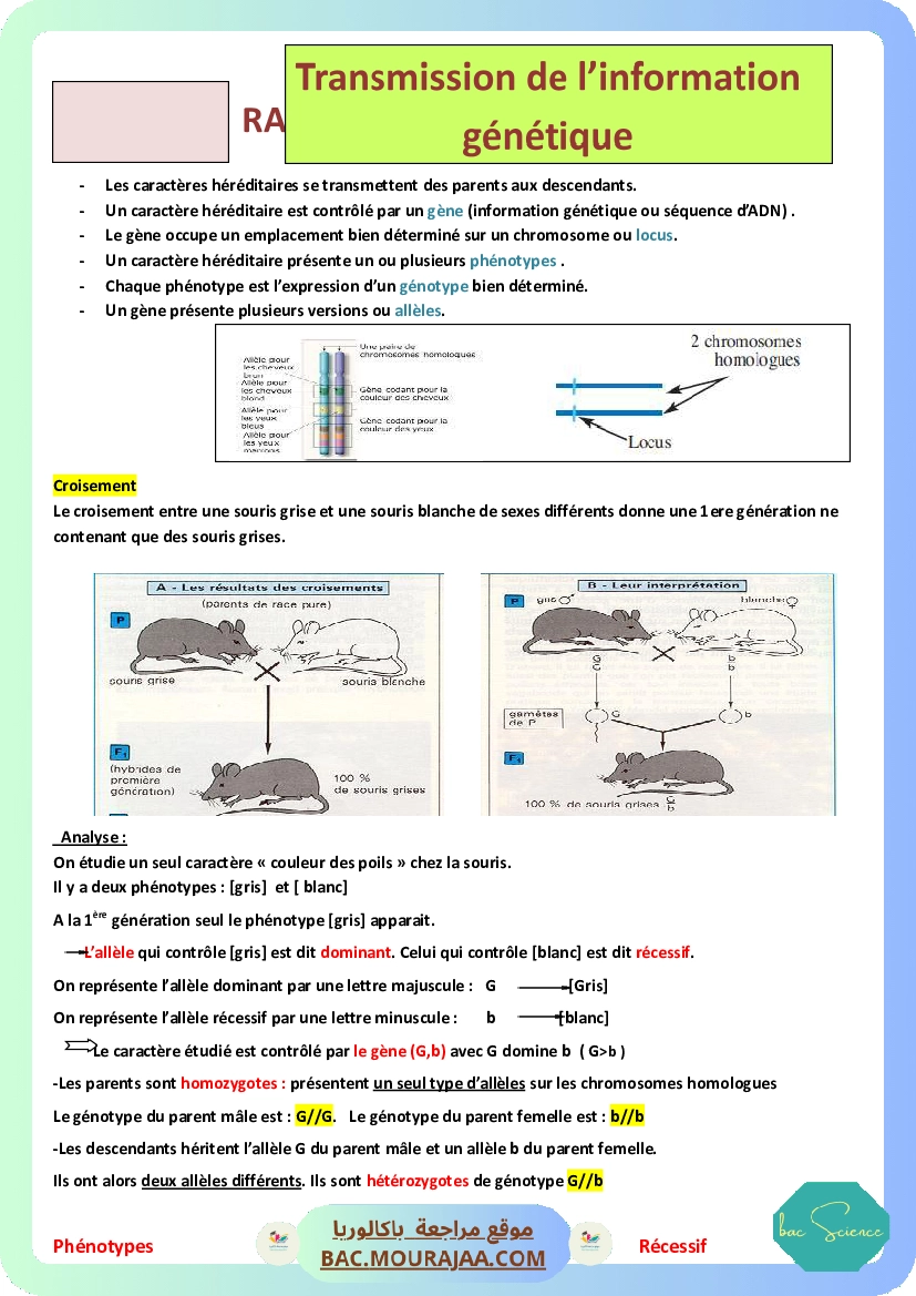 GH-bac-math-Repare.docx