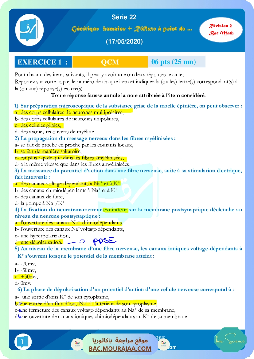 Gh + Reflexe