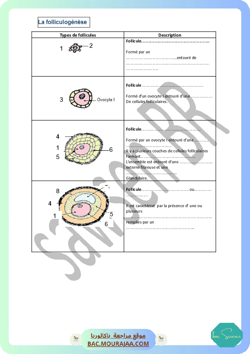 Rep-F-cycles-et-controle-1.docx