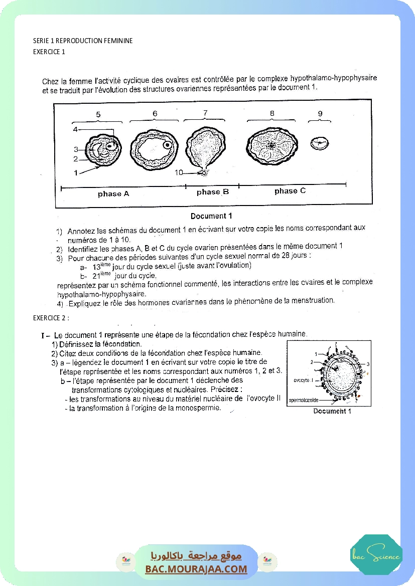 SERIE 1 REPRODUCTION FEMININE (2).docx