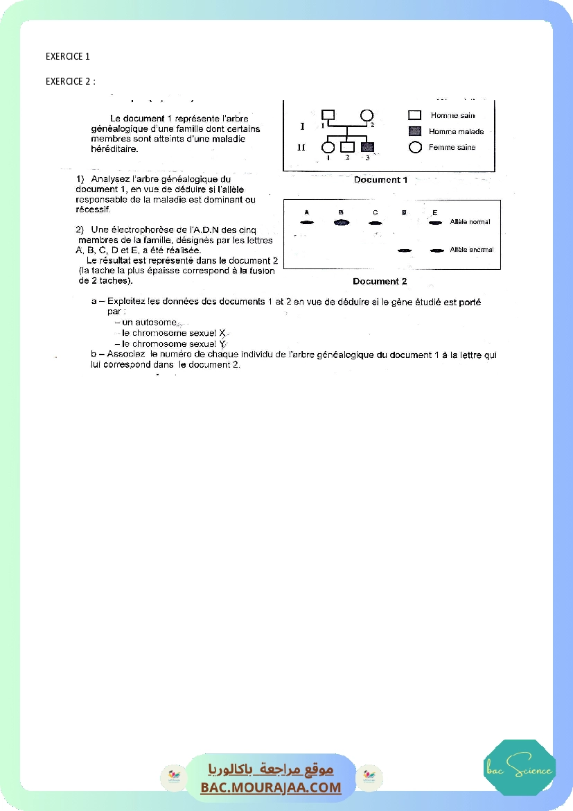 SERIE GENETIQUE 1.docx