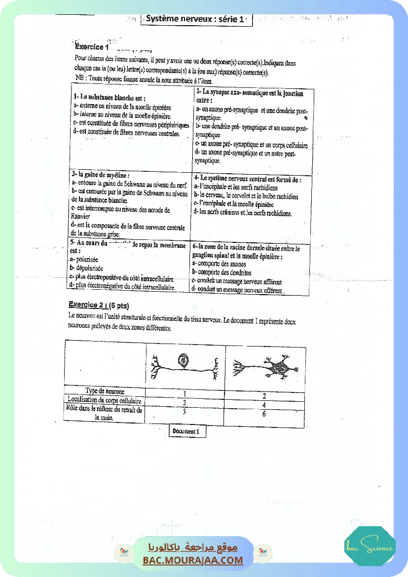 Scan