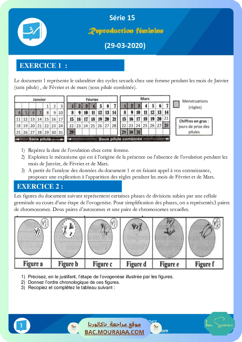 Serie 15 reproduction feminine (29-03-2020)