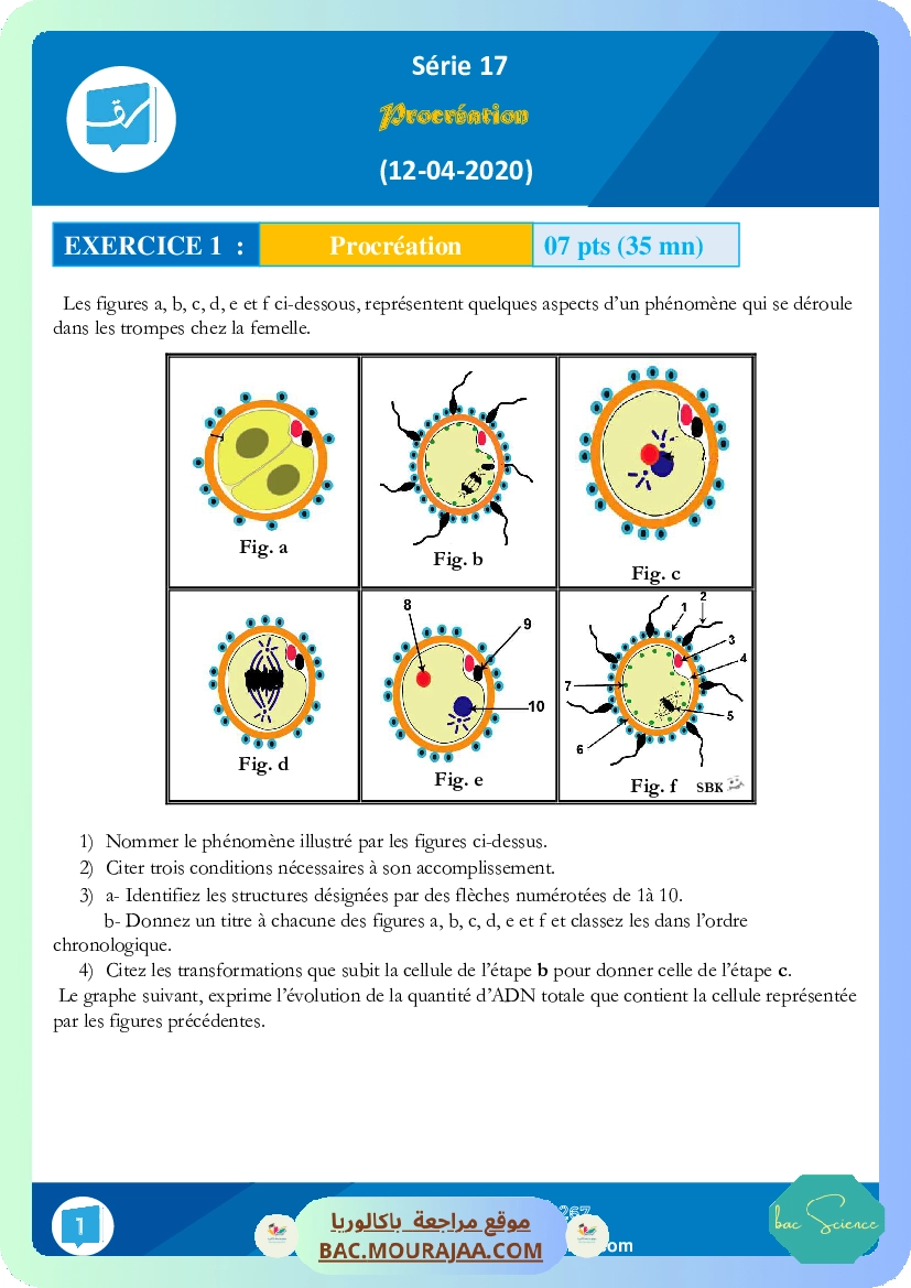 Serie 17 procreation (12-04-2020)