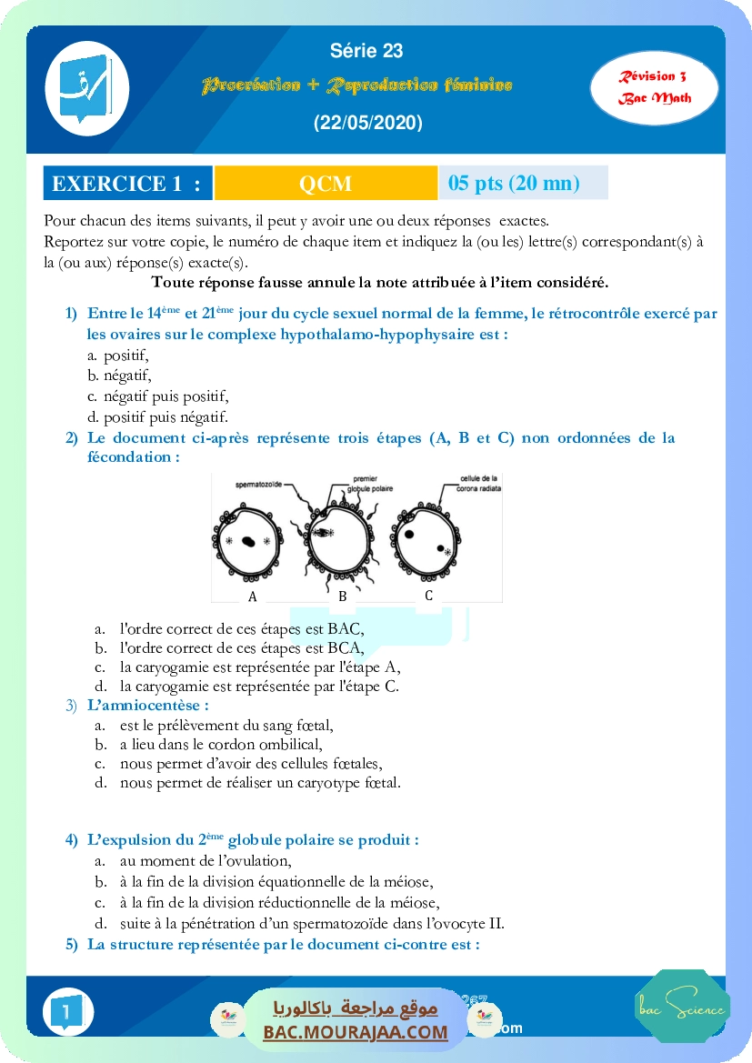 Serie 23 (Revision 3) (22-05-2020)