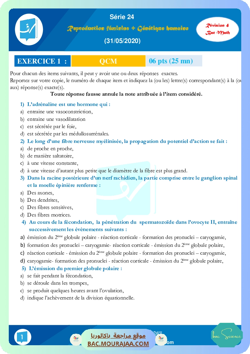 Serie 24 (Revision 4) (31-05-2020)
