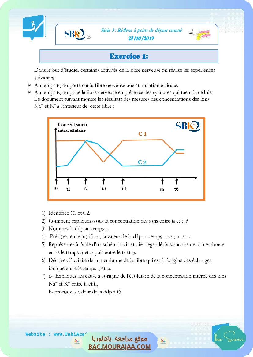 Serie 3 27-10-2019 reflexe myotatiquex