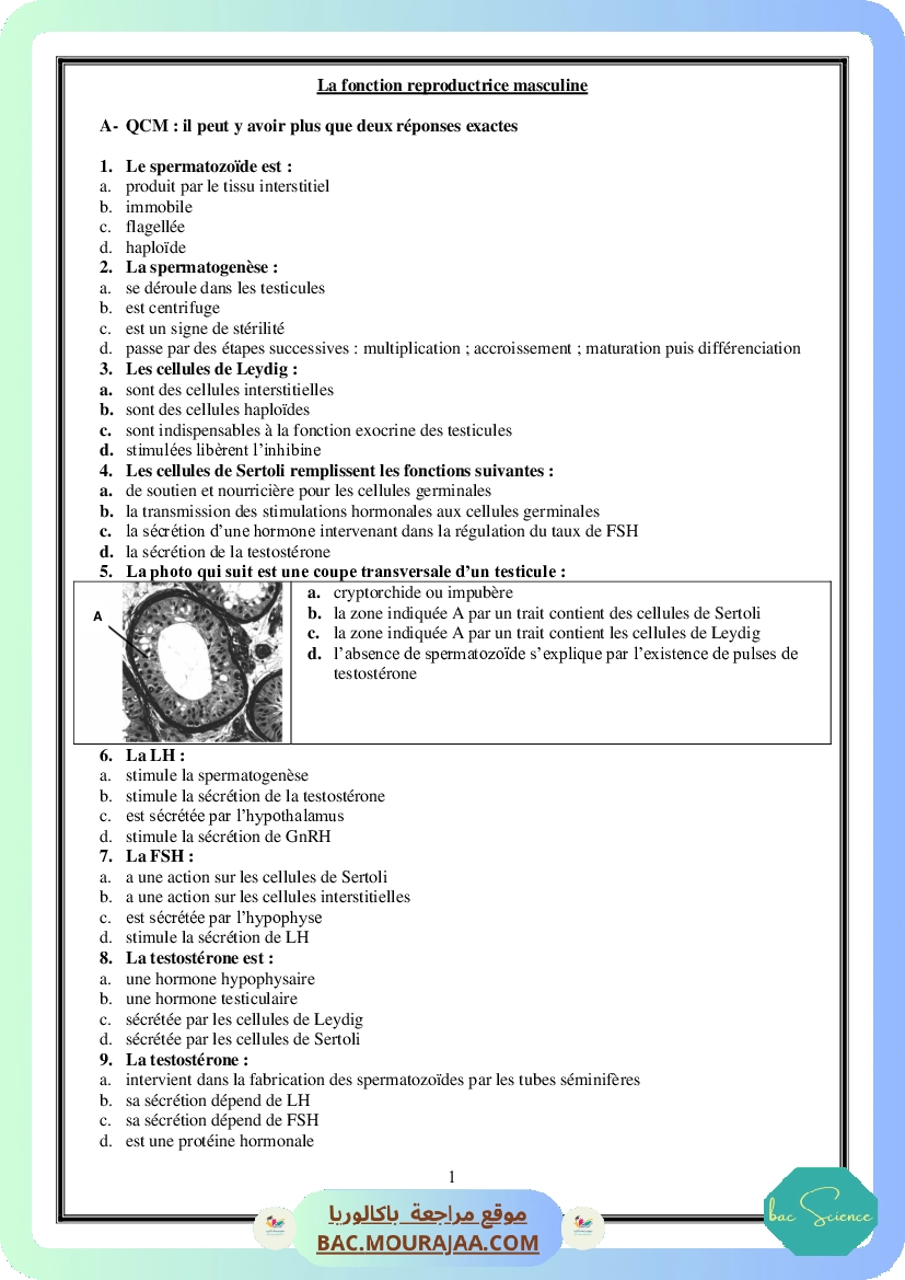 Theme Reproduction Humaine Serie-Corrections