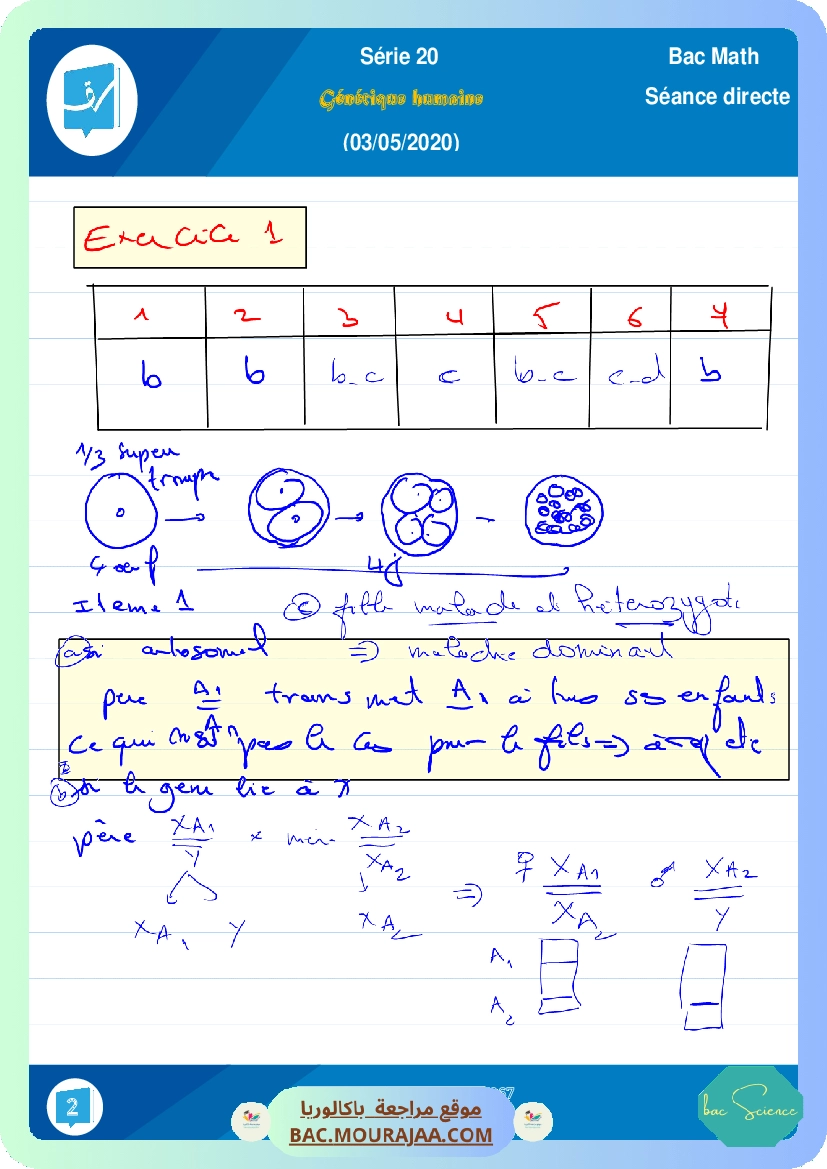 brouillon la Serie 20 Genetique 2
