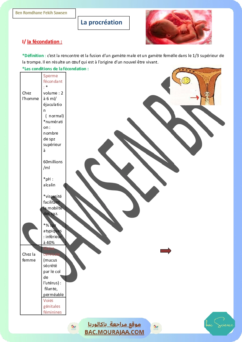 procreation-sawsen.docx