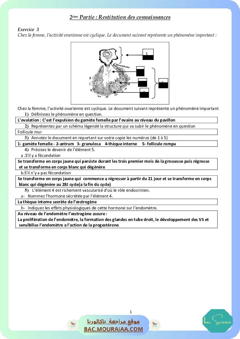 serie2-reproduction-femelle-2020-2021correction